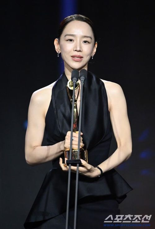 Shin Hye Sun được gọi tên ở hạng mục Nữ diễn viên chính xuất sắc nhất (Thị hậu), nhờ vai diễn trong bộ phim trinh thám bí ẩn The Art of Sarah. Cô vượt qua các đối thủ "nặng ký" gồm Go Youn Jung (Tiếng yêu này, anh dịch được không), Kim Go Eun (Yumi's Cells 3), Park Bo Young (Gold Land) và Park Ji Hyun (You and Everything Else).