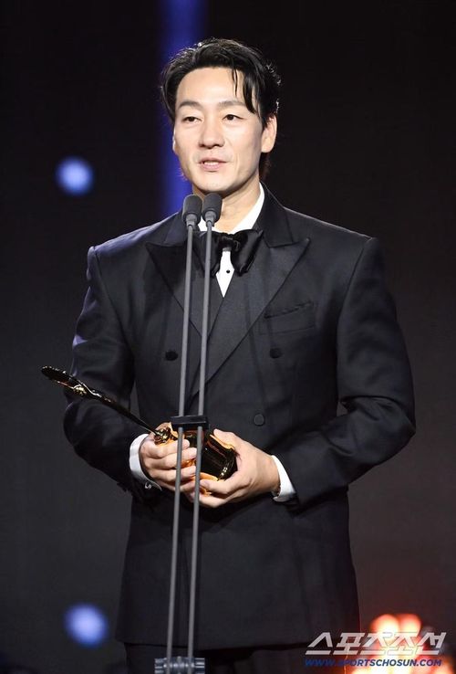 Park Hae Soo trở thành Thị đế Rồng Xanh truyền hình với tác phẩm The Scarecrow. Hyun Bin cũng được đề cử ở hạng mục này nhưng không giành chiến thắng cuối cùng. Made in Korea, bộ phim do Hyun Bin đóng chính, cũng vuột mất giải Phim hay nhất.