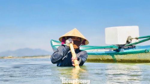 Người cào một tay cầm cán tre, tay còn lại tì thắt lưng lấy thế đi giật lùi. Công việc tưởng chừng đơn giản, nhưng để cào được don lại chẳng hề nhẹ nhàng.