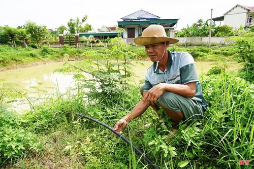 Ông Phan Văn Bảy (xã Việt Xuyên) cho biết: “Từ trước đến nay, người dân chúng tôi chỉ biết trông chờ vào nguồn nước từ các ao, hồ và giếng làng để sinh hoạt. Mỗi giếng có khoảng 10–15 hộ lắp đường ống, bơm nước trực tiếp về nhà sử dụng. Tuy nhiên, những năm gần đây, nguồn nước ngày càng cạn kiệt, không đáp ứng đủ nhu cầu sinh hoạt, nhất là vào mùa nắng nóng.”