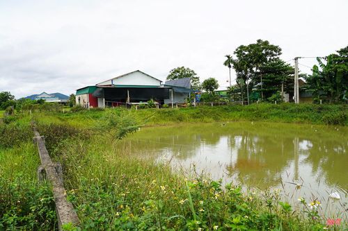 Trong đợt nắng nóng vừa qua, nhiều giếng nước cũng cạn kiệt, không đáp ứng được nhu cầu sinh hoạt tối thiểu. Không ít hộ dân phải dẫn nước từ các kênh mương tưới tiêu vào ao, giếng để có nước sử dụng hằng ngày.