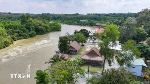 Một số công trình kinh doanh ven suối, địa bàn ấp Sơn Đài, xã Dầu Tiếng, Thành phố Hồ Chí Minh thường xuyên ngập sâu khi hồ Dầu Tiếng điều tiết nước trong mùa mưa lũ. (Ảnh: Minh Phú/TTXVN)