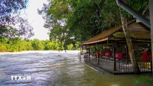 Quán ăn có dấu hiệu lấn chiếm hành lang thoát lũ hồ Dầu Tiếng tại ấp Sơn Đài, xã Dầu Tiếng, Thành phố Hồ Chí Minh. (Ảnh: Minh Phú/TTXVN)