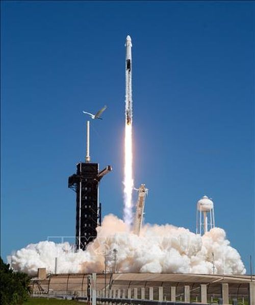 Tên lửa đẩy Falcon 9 mang theo tàu vũ trụ Crew Dragon rời bệ phóng tại Trung tâm vũ trụ Kennedy ở Florida, Mỹ. Ảnh tư liệu: THX/TTXVN