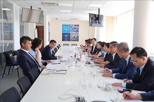 Quang cảnh buổi làm việc giữa Đoàn công tác thành phố Đà Nẵng với Liên đoàn Công nghiệp Séc. Ảnh: Trần Hòa/TTXVN