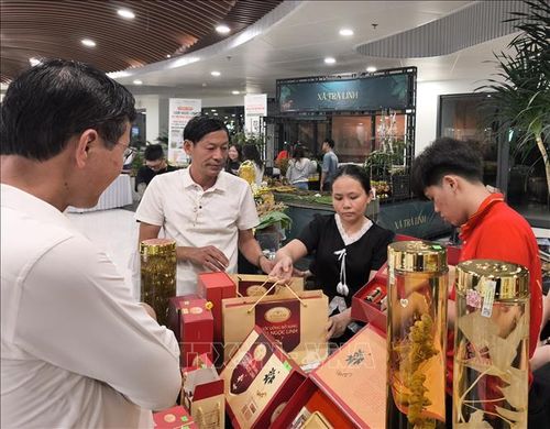 Các gian hàng trưng bày, giới thiệu sản phẩm từ Sâm Ngọc Linh và dược liệu.