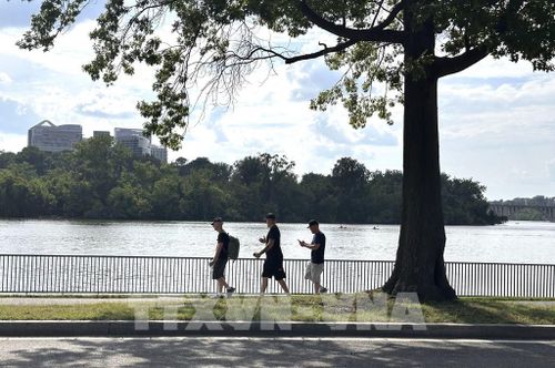 Đi dọc bờ Đông của Potomac, dễ dàng nhận thấy phần lớn diện tích ven sông là không gian mở. Ảnh: Ngọc Quang – PV TTXVN tại Mỹ
