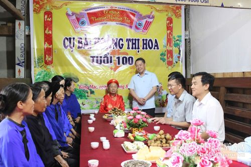 Đồng chí Đoàn Thanh Sơn, Phó Chủ tịch UBND tỉnh thay mặt đoàn công tác chúc thọ cụ Hoàng Thị Hoa