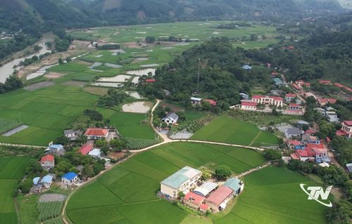 Các mô hình sản xuất phù hợp giúp người dân nâng cao thu nhập, diện mạo xã Tân Kỳ ngày càng đổi mới.