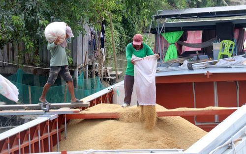 Không để nông dân vừa mất mùa vừa mất giá.