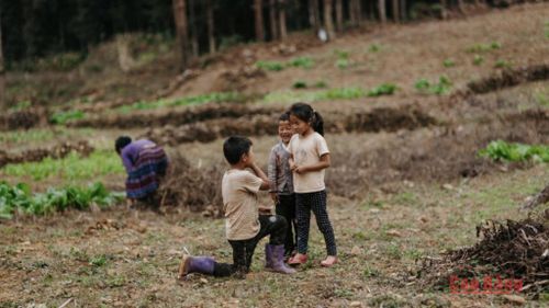 Tiếng cười trong veo của trẻ nhỏ giữa đồng quê luôn là thanh âm đẹp nhất của mùa hè vùng cao.