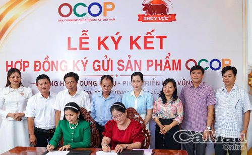 HTX Trúc Thương (xã Ðầm Dơi) tham gia ký kết ký gởi sản phẩm OCOP của HTX với hộ kinh doanh Thúy Lực (phường An Xuyên) để mở rộng kênh tiêu thụ.