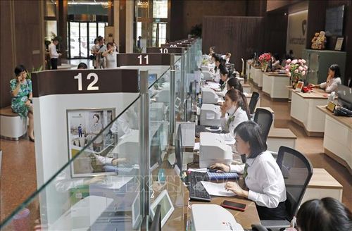 Giao dịch tại Hội sở chính Vietcombank 198 Trần Quang Khải, Hà Nội. Ảnh minh họa: Trần Việt/TTXVN