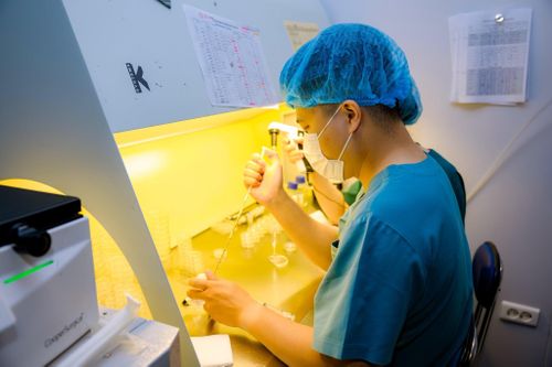 Thống kê cho thấy, 40% nguyên nhân vô sinh hiếm muộn từ nam giới, 40% từ nữ giới và 20% còn lại chưa xác định rõ nguyên nhân hoặc do cả hai phía. Ảnh: Q.Anh