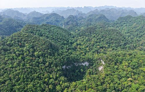 Với Nguyễn Văn Úy, mỗi cửa hang đều khơi gợi sự tò mò về thế giới bên trong.