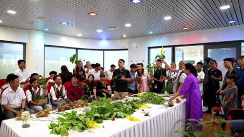 Hội thi sâm Ngọc Linh đẹp 2026