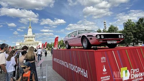 Mẫu xe Lamborghini Espada 1974 màu hồng nay là phiên bản hiếm trên thế giới và được đấu giá, về tay nhà sưu tập Nga mới đây. Ảnh: THÙY VÂN