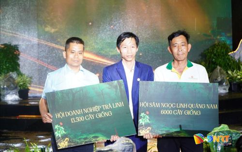 Hội Sâm Ngọc Linh Quảng Nam và Hội Doanh nghiệp Trà Linh trao bảng tượng trưng tặng cây sâm Ngọc Linh giống cho người dân xã Trà Linh.