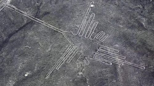 Hình vẽ nổi tiếng tại khu di tích Đường Nazca. (Ảnh: Shutterstock)