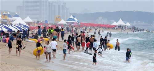 Người dân tắm biển tránh nóng ở tỉnh Gangwon, Hàn Quốc. Ảnh: Yonhap/TTXVN phát