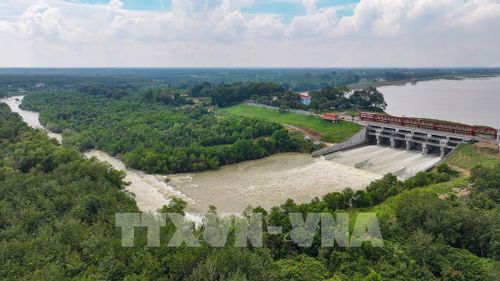 Khu vực tràn xả lũ hồ Dầu Tiếng - công trình thủy lợi đặc biệt quan trọng, giữ vai trò điều tiết lũ cho vùng hạ du Đông Nam Bộ. Ảnh: Minh Phú - TTXVN