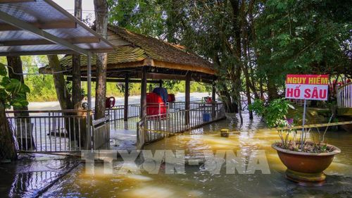 Dù thường xuyên bị ảnh hưởng khi hồ Dầu Tiếng vận hành xả lũ nhiều hộ dân vẫn duy trì hoạt động kinh doanh do lợi ích trước mắt. Ảnh: Minh Phú - TTXVN