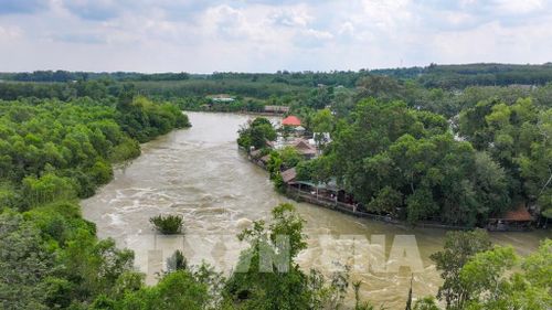 Không gian thoát lũ hồ Dầu Tiếng đang chịu áp lực từ hoạt động sử dụng đất và xây dựng công trình dọc hai bên dòng chảy. Ảnh: Minh Phú - TTXVN