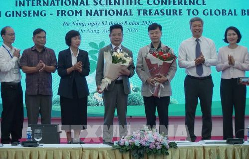 Công bố thỏa thuận hợp tác giữa Hội Sâm Ngọc Linh Quảng Nam (thành phố Đà Nẵng) và Hiệp hội Sâm Geumsan (Hàn Quốc). Ảnh: Quốc Dũng - TTXVN