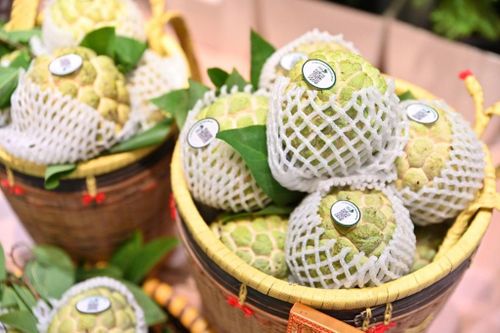 Những trái na Chi Lăng sau khi được thu hoạch đưa thẳng từ vùng trồng xuống phục vụ người tiêu dùng Thủ đô trong khuôn khổ chương trình Sức sống hàng Việt số 10.