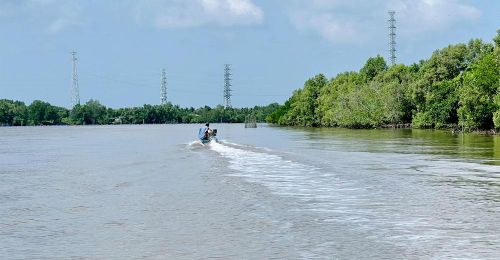 Du khách đi ca nô (hoặc vỏ lãi) từ bến phà Năm Căn đến Đất Mũi.