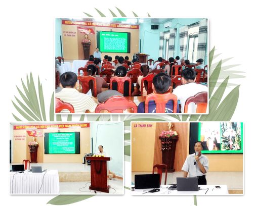 Dự án tổ chức tập huấn thay đổi tư trồng và chăm sóc cây cau cho người dân Thạnh Bình. Ảnh: PHAN VINH