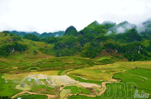 Một góc cánh đồng Chiếu Tính (xã Sính Phình).