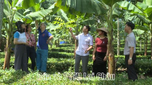 Hội LHPN tỉnh cùng đoàn công tác tham quan các mô hình sinh kế thích ứng biến đổi khí hậu.