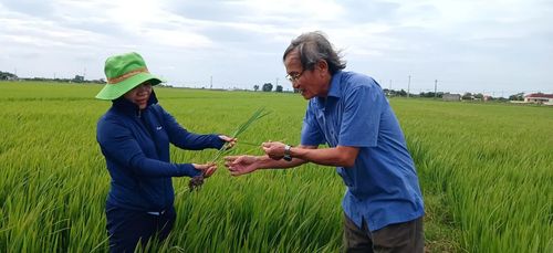 Đổi mới tư duy sản xuất bắt đầu từ những buổi hướng dẫn kỹ thuật ngay trên đồng ruộng - Ảnh: N.B