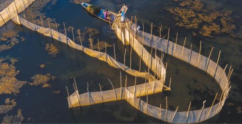 Đổ nò trên đầm Chuồn.