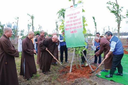 Toàn Thành phố có 6 “Vườn cây Đại đoàn kết”, trong đó GHPGVN TP.HCM - tổ chức thành viên trong khối đại đoàn kết toàn dân tộc đăng ký tham gia và hưởng ứng thực hiện 2 vườn cây