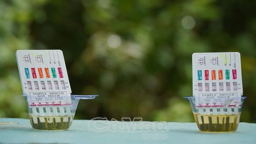 Kết quả hiển thị công khai trên bộ kit test giúp các chủ tàu và thuyền viên thêm an tâm bám biển.