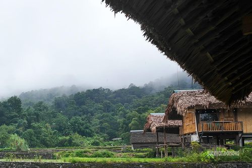 Những mái nhà sàn nép dưới núi rừng. Ảnh: T. Anh