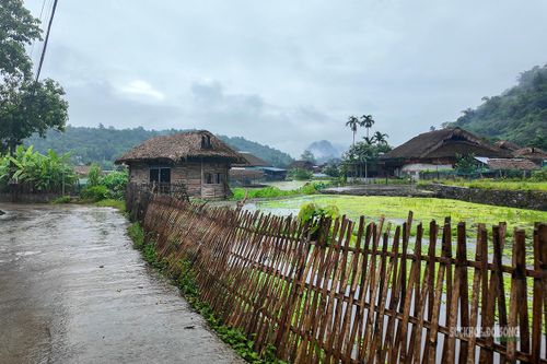 Hàng rào tre và con đường nhỏ dẫn vào bản. Ảnh: T. Anh
