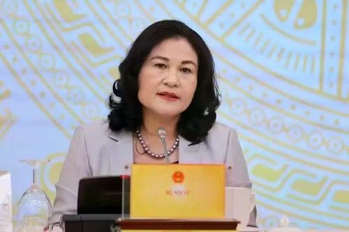 Thứ trưởng Bộ Nội vụ Nguyễn Thị Hà phát biểu tại họp báo. Ảnh: Nhật Bắc.