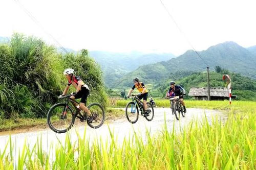 Anh Đỗ Đoàn Điền - thành viên Câu lạc bộ Xe đạp thể thao Chiến khu Đông Triều, Quảng Ninh - cho biết những thửa ruộng bậc thang vàng óng trải dài nối tiếp nhau mang đến khung cảnh ấn tượng. Theo anh, hành trình này không đơn thuần là một cuộc đua mà còn là dịp để các vận động viên và du khách ngắm nhìn vẻ đẹp thiên nhiên, trải nghiệm cảnh sắc và nhịp sống vùng cao Mường Bo.