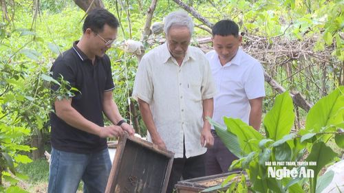Xóm trưởng xóm Quang Long, xã Quang Đồng khảo sát mô hình kinh tế của người dân. Ảnh: Bùi Thọ