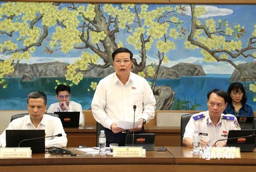 Đại biểu Quốc hội Ngô Nam Cường - Phó Tư lệnh Quân khu IV đóng góp ý kiến vào các dự án luật. Ảnh: Khánh Duy