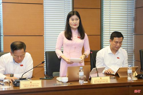 Đại biểu Bùi Thị Quỳnh Thơ - Phó Chủ nhiệm Ủy ban Công tác đại biểu của Quốc hội (Đoàn ĐBQH tỉnh Hà Tĩnh) thảo luận tại tổ.