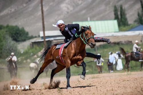 Trình diễn cưỡi ngựa tại lễ hội dân gian ở làng Bokonbaevo, Kyrgyzstan, ngày 1/8/2026. (Ảnh: THX/TTXVN phát)