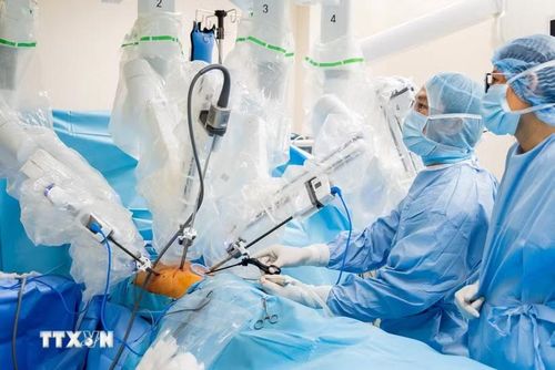 Ảnh minh họa (Nguồn: TTXVN phát)