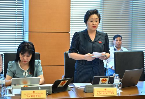 Đồng chí Lò Thị Luyến, Phó Trưởng Đoàn ĐBQH tỉnh phát biểu tại phiên thảo luận.
