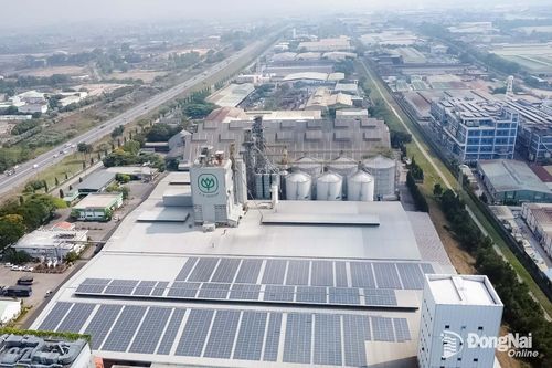 Tập đoàn C.P. Việt Nam ứng dụng điện mặt trời áp mái phục vụ mục tiêu tiết kiệm năng lượng và giảm phát thải ròng. Ảnh: Vương Thế