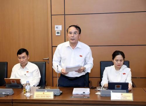  ĐB Trần Minh Trọng đánh giá cao việc dự thảo luật đã thể chế hóa kịp thời, đúng đắn các chủ trương của Đảng về chuyển đổi số, hiện đại hóa và cải cách hành chính. Ảnh: Đoàn ĐBQH tỉnh Gia Lai 