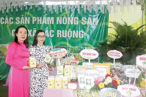 Bột tinh nghệ, bột bình tinh Đông Đan - sản phẩm OCOP của xã Bắc Ruộng